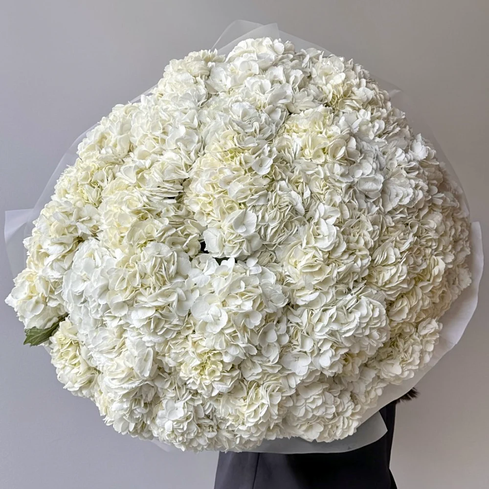 101 белая гортензия